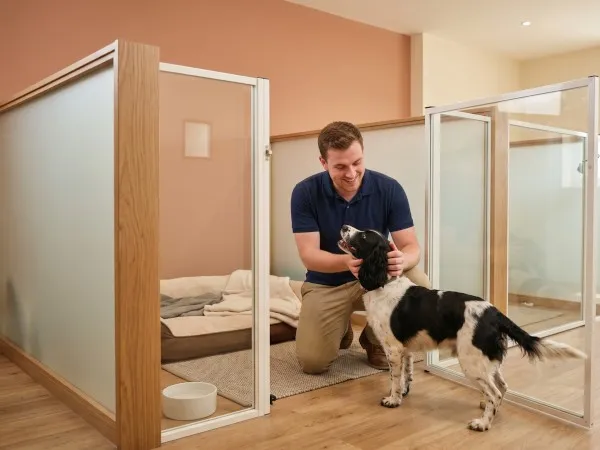 Kennels